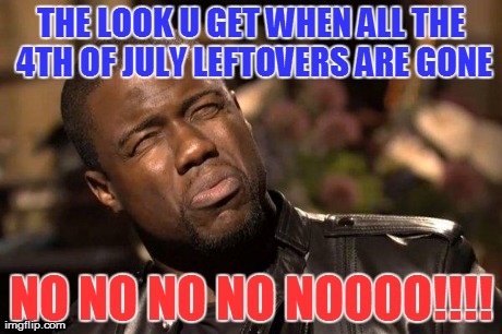 KEVIN HART | THE LOOK U GET WHEN ALL THE 4TH OF JULY LEFTOVERS ARE GONE NO NO NO NO NOOOO!!!! | image tagged in kevin hart | made w/ Imgflip meme maker
