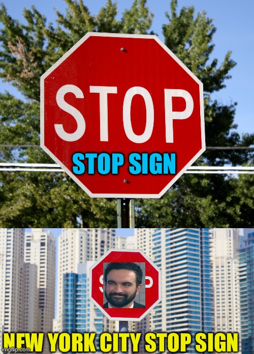 Don’t ignore Stop Signs | STOP SIGN; NEW YORK CITY STOP SIGN | image tagged in gifs,democrats,democratic socialism,marxism,stop | made w/ Imgflip meme maker