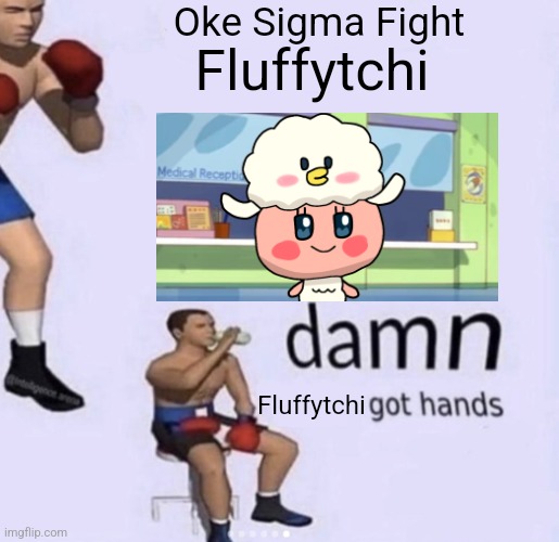 Fluffytchi Meme | Oke Sigma Fight; Fluffytchi; Fluffytchi | image tagged in damn got hands,funny,funny memes,memes | made w/ Imgflip meme maker