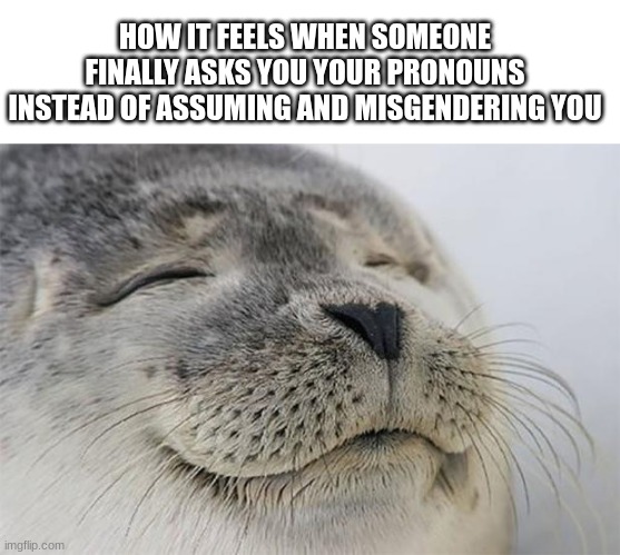 Finally, Thank you | HOW IT FEELS WHEN SOMEONE FINALLY ASKS YOU YOUR PRONOUNS INSTEAD OF ASSUMING AND MISGENDERING YOU | image tagged in memes,satisfied seal | made w/ Imgflip meme maker