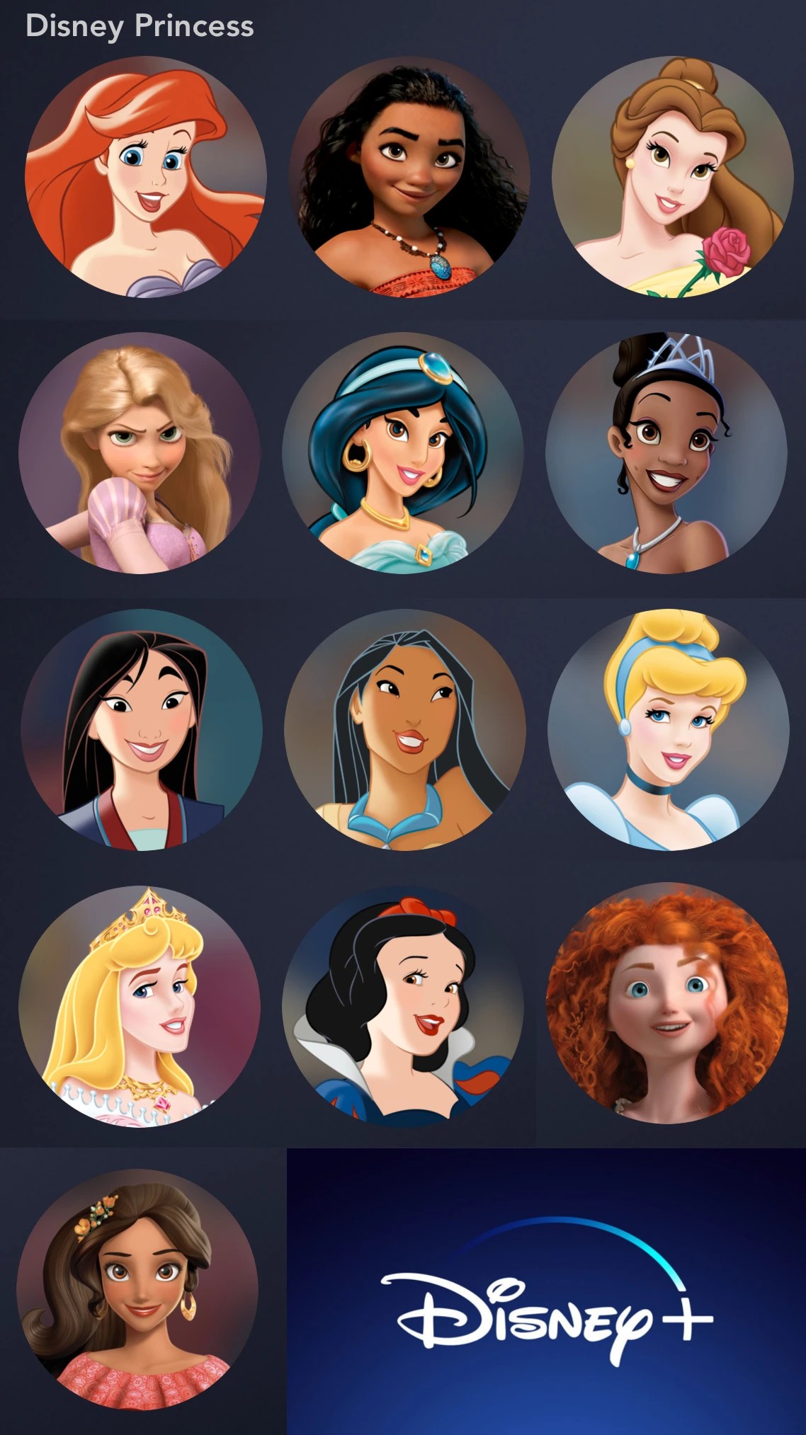 Disney Princesses Icon Profile Blank Meme Template