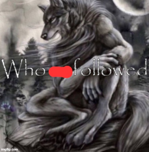 Who unfollowed | image tagged in who unfollowed | made w/ Imgflip meme maker