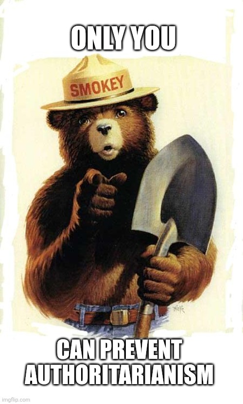 Authoritarianism | ONLY YOU; CAN PREVENT AUTHORITARIANISM | image tagged in smokey the bear | made w/ Imgflip meme maker