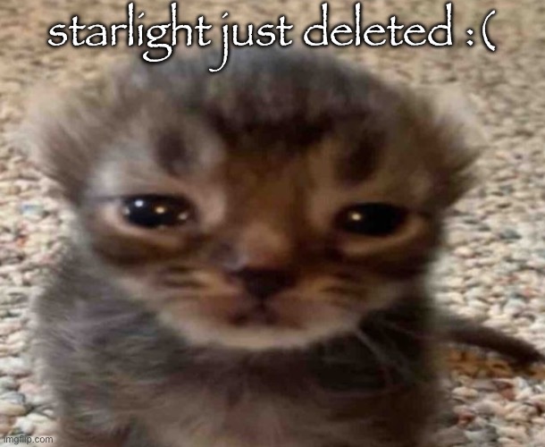 my brain itches | starlight just deleted :( | image tagged in my brain itches | made w/ Imgflip meme maker