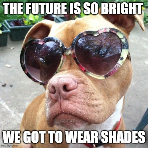 Future so bright gotta wear shades | THE FUTURE IS SO BRIGHT; WE GOT TO WEAR SHADES | image tagged in future so bright gotta wear shades | made w/ Imgflip meme maker