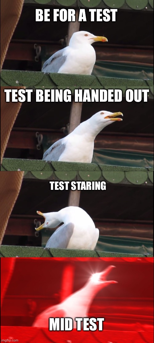The truth | BE FOR A TEST; TEST BEING HANDED OUT; TEST STARING; MID TEST | image tagged in memes,inhaling seagull | made w/ Imgflip meme maker