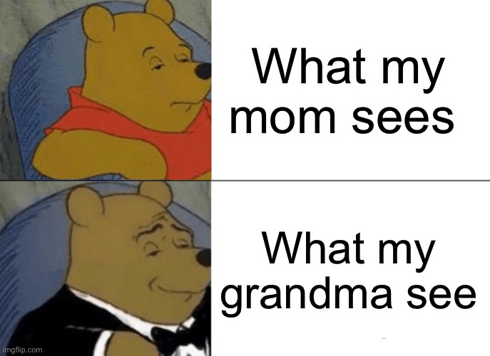 Truth | What my mom sees; What my grandma sees | image tagged in memes,tuxedo winnie the pooh | made w/ Imgflip meme maker