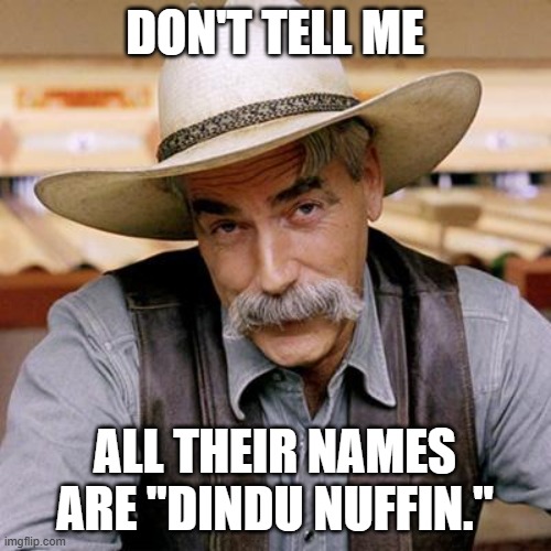 SARCASM COWBOY | DON'T TELL ME ALL THEIR NAMES ARE "DINDU NUFFIN." | image tagged in sarcasm cowboy | made w/ Imgflip meme maker