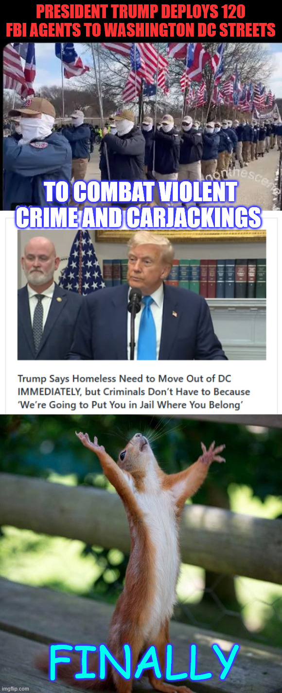 Finally | PRESIDENT TRUMP DEPLOYS 120 FBI AGENTS TO WASHINGTON DC STREETS; TO COMBAT VIOLENT CRIME AND CARJACKINGS; FINALLY | image tagged in finally,fighting dc crime | made w/ Imgflip meme maker