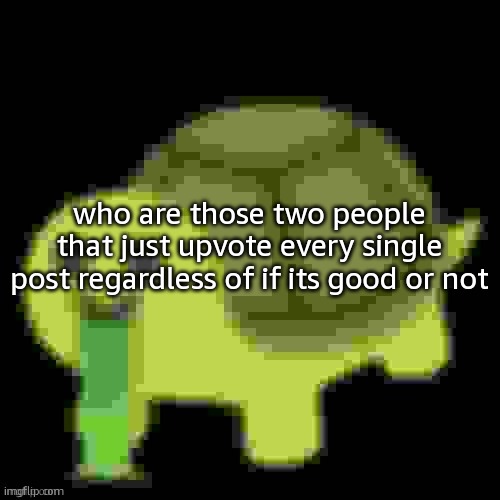 Low Quality Barfing Turtle | who are those two people that just upvote every single post regardless of if its good or not | image tagged in low quality barfing turtle | made w/ Imgflip meme maker