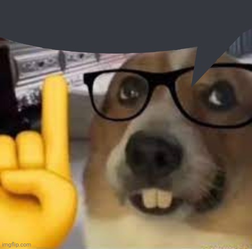 nerd dog | image tagged in nerd dog | made w/ Imgflip meme maker