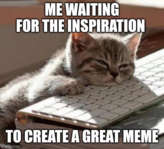 tired cat | ME WAITING FOR THE INSPIRATION; TO CREATE A GREAT MEME | image tagged in tired cat | made w/ Imgflip meme maker