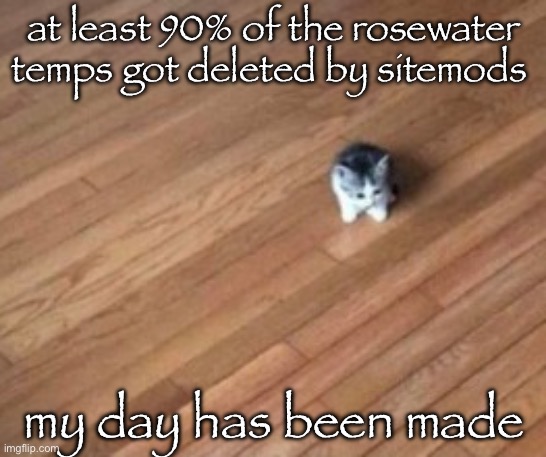 thank god theyre gone | at least 90% of the rosewater temps got deleted by sitemods; my day has been made | image tagged in tiny ahh cat | made w/ Imgflip meme maker