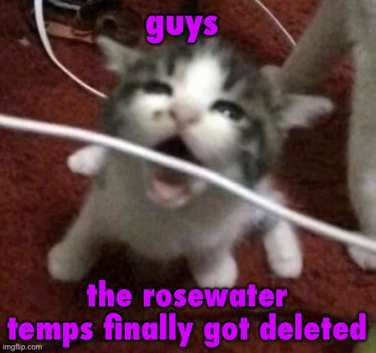 show me if there’s any left, i’ll send them to the sitemods who deleted most of them | guys; the rosewater temps finally got deleted | image tagged in bomb | made w/ Imgflip meme maker