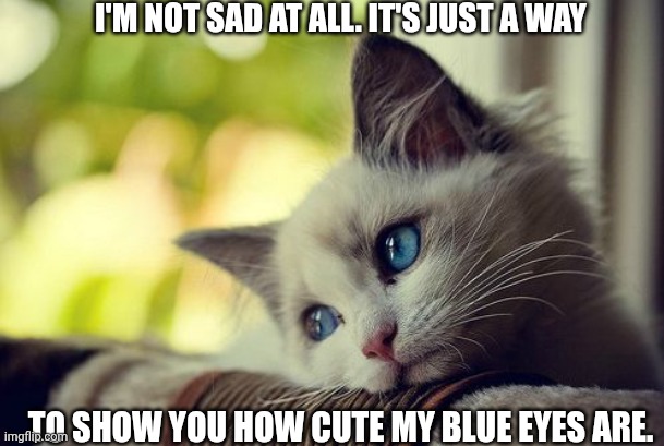 First World Problems Cat | I'M NOT SAD AT ALL. IT'S JUST A WAY; TO SHOW YOU HOW CUTE MY BLUE EYES ARE. | image tagged in memes,first world problems cat | made w/ Imgflip meme maker