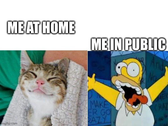 Blank White Template | ME AT HOME ME IN PUBLIC | image tagged in blank white template | made w/ Imgflip meme maker