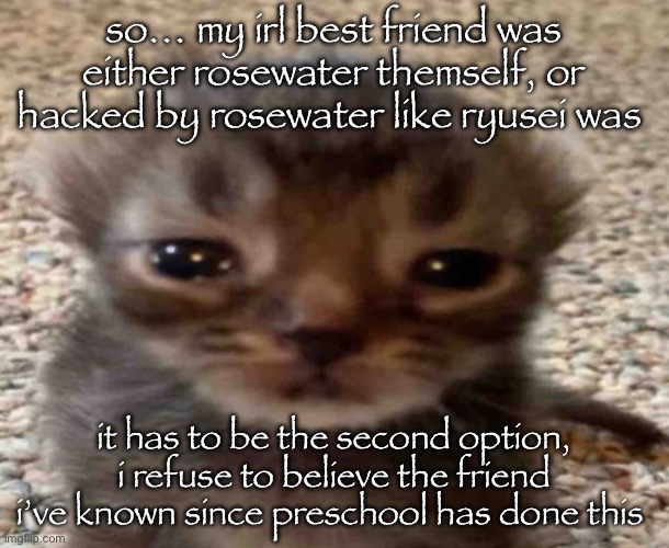 my brain itches | so… my irl best friend was either rosewater themself, or hacked by rosewater like ryusei was; it has to be the second option, i refuse to believe the friend i’ve known since preschool has done this | image tagged in my brain itches | made w/ Imgflip meme maker