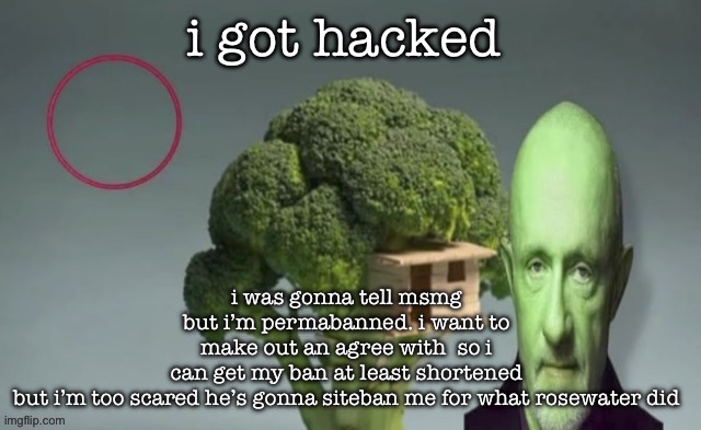 might just straight up kill myself bc this site is the only thing i have left in life | i was gonna tell msmg but i’m permabanned. i want to make out an agree with  so i can get my ban at least shortened  but i’m too scared he’s gonna siteban me for what rosewater did; i got hacked | image tagged in the rot consumes | made w/ Imgflip meme maker