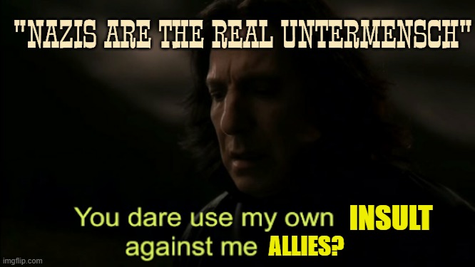 You dare Use my own spells against me | "NAZIS ARE THE REAL UNTERMENSCH"; INSULT; ALLIES? | image tagged in you dare use my own spells against me,ww2,nazi,harry potter | made w/ Imgflip meme maker