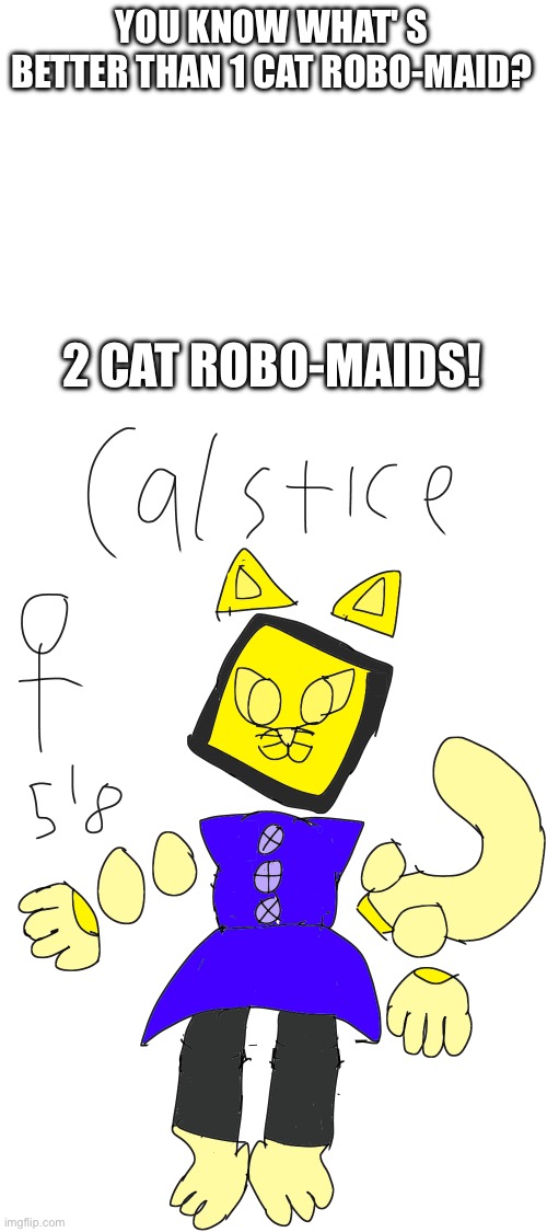 From Complex to Simple | YOU KNOW WHAT' S BETTER THAN 1 CAT ROBO-MAID? 2 CAT ROBO-MAIDS! | made w/ Imgflip meme maker