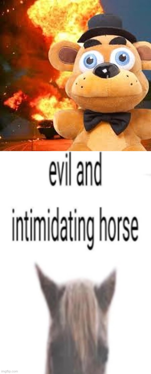 image tagged in evil and intimidating horse | made w/ Imgflip meme maker