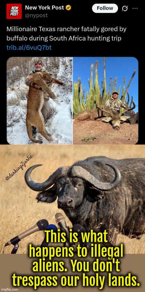 Heil Buffaloes! #StopIllegalImmigration | @darking2jarlie; This is what happens to illegal aliens. You don't trespass our holy lands. | image tagged in illegal immigrants,illegal immigration,hunting,rich people,animal rights | made w/ Imgflip meme maker