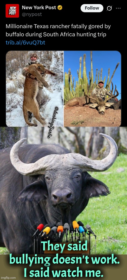 The House of Bullies Wins #GoTeam #HeilBulls | @darking2jarlie; They said bullying doesn't work. I said watch me. | image tagged in hunting,bullying,bully,dark humor | made w/ Imgflip meme maker