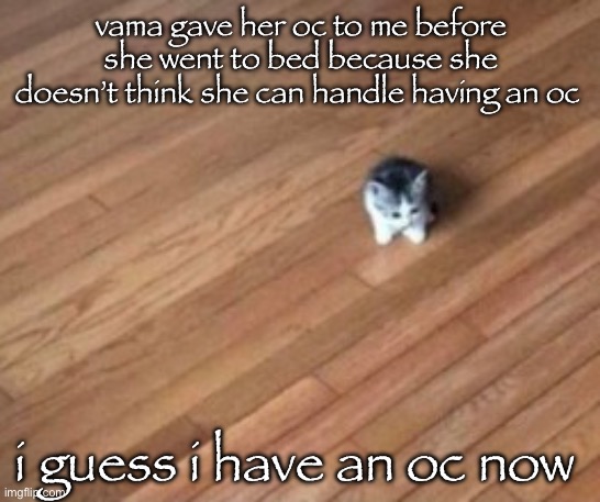 tiny ahh cat | vama gave her oc to me before she went to bed because she doesn’t think she can handle having an oc; i guess i have an oc now | image tagged in tiny ahh cat | made w/ Imgflip meme maker