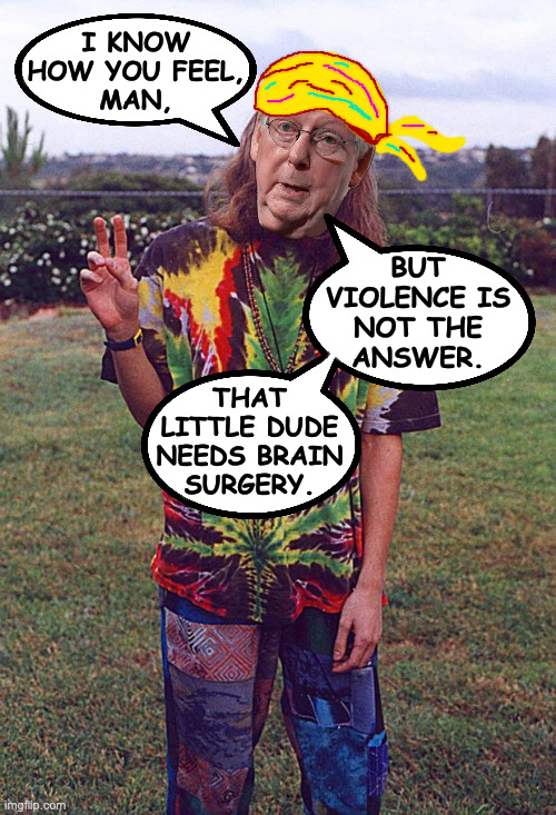 Hippie | I KNOW
HOW YOU FEEL,
MAN, BUT
VIOLENCE IS
NOT THE
ANSWER. THAT
LITTLE DUDE
NEEDS BRAIN
SURGERY. | image tagged in hippie | made w/ Imgflip meme maker