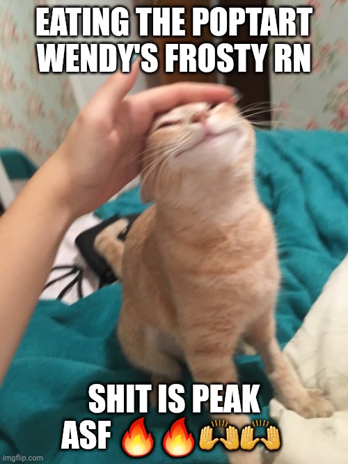 BRO IT'S SO GOOD | EATING THE POPTART WENDY'S FROSTY RN; SHIT IS PEAK ASF 🔥🔥🙌🙌 | image tagged in cat pat | made w/ Imgflip meme maker