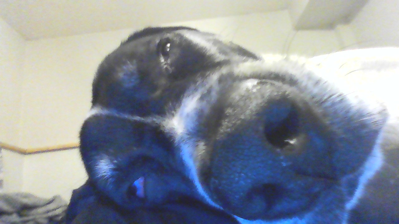 pov when i wake up Blank Meme Template