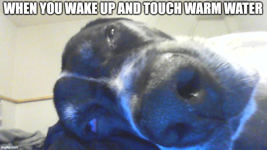 insert title here | WHEN YOU WAKE UP AND TOUCH WARM WATER | image tagged in pov when i wake up | made w/ Imgflip meme maker