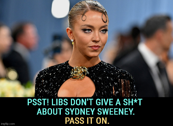 Sidney Sweeney disappeared quickly. Culture war outrages are never as serious as Trump and Fox say they are. | PSST! LIBS DON'T GIVE A SH*T 
ABOUT SYDNEY SWEENEY. PASS IT ON. | image tagged in liberals,woke,sydney sweeney,nothing burger,fake news | made w/ Imgflip meme maker