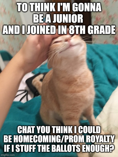 :> | TO THINK I'M GONNA BE A JUNIOR 
AND I JOINED IN 8TH GRADE; CHAT YOU THINK I COULD BE HOMECOMING/PROM ROYALTY IF I STUFF THE BALLOTS ENOUGH? | image tagged in cat pat | made w/ Imgflip meme maker