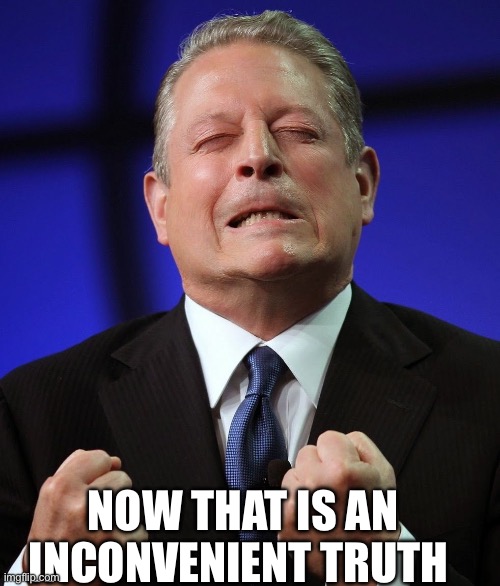 Al gore | NOW THAT IS AN INCONVENIENT TRUTH | image tagged in al gore | made w/ Imgflip meme maker