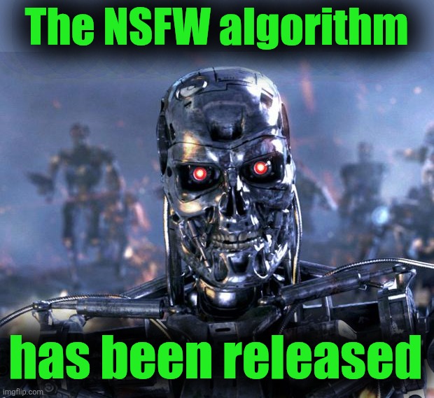 Terminator Robot T-800 | The NSFW algorithm; has been released | image tagged in terminator robot t-800 | made w/ Imgflip meme maker