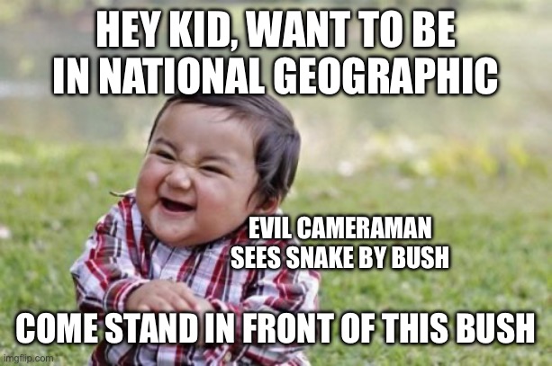 Evil Toddler Meme | HEY KID, WANT TO BE IN NATIONAL GEOGRAPHIC COME STAND IN FRONT OF THIS BUSH EVIL CAMERAMAN SEES SNAKE BY BUSH | image tagged in memes,evil toddler | made w/ Imgflip meme maker
