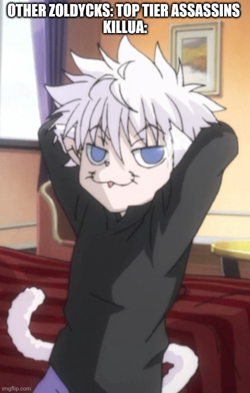 Killua | OTHER ZOLDYCKS: TOP TIER ASSASSINS 
KILLUA: | image tagged in killua,hunter x hunter,killua zoldyck | made w/ Imgflip meme maker