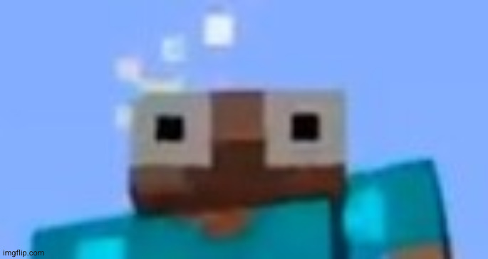 Wide-eyed Steve | image tagged in wide-eyed steve | made w/ Imgflip meme maker