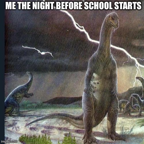 I have to go back tomorrow | ME THE NIGHT BEFORE SCHOOL STARTS | image tagged in plateosaurus in the rain | made w/ Imgflip meme maker