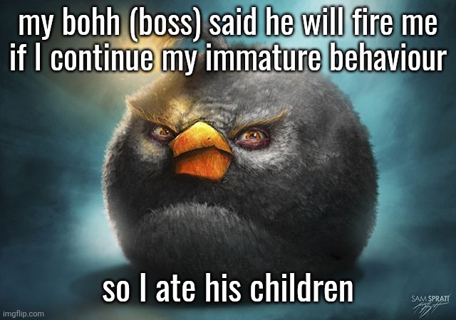 angry birds bomb | my bohh (boss) said he will fire me
if I continue my immature behaviour; so I ate his children | image tagged in angry birds bomb | made w/ Imgflip meme maker