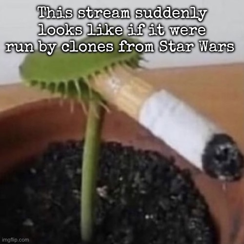 Man I HATE those clankers | This stream suddenly looks like if it were run by clones from Star Wars | image tagged in plant weeds,msmg | made w/ Imgflip meme maker