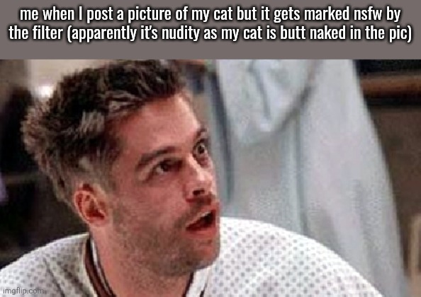 brad pitt 12 monkeys | me when I post a picture of my cat but it gets marked nsfw by the filter (apparently it's nudity as my cat is butt naked in the pic) | image tagged in brad pitt 12 monkeys | made w/ Imgflip meme maker