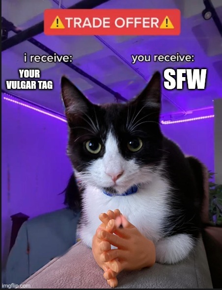 Trade offer cat | YOUR VULGAR TAG SFW | image tagged in trade offer cat | made w/ Imgflip meme maker