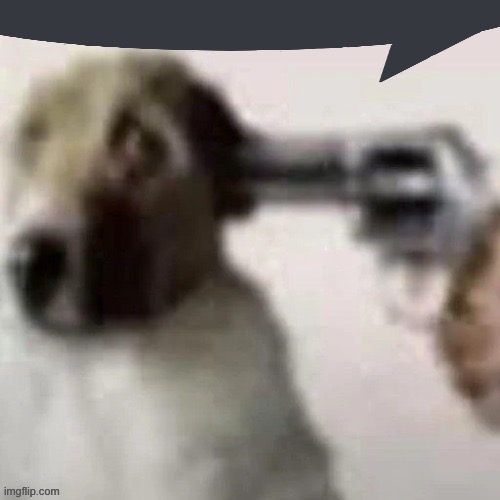 dog gunpoint | image tagged in dog gunpoint | made w/ Imgflip meme maker