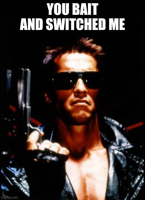 terminator arnold schwarzenegger | YOU BAIT AND SWITCHED ME | image tagged in terminator arnold schwarzenegger | made w/ Imgflip meme maker