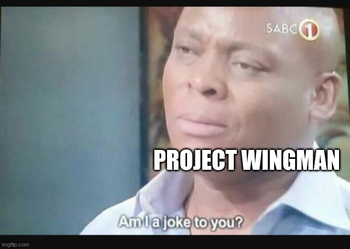 Am I a joke to you? | PROJECT WINGMAN | image tagged in am i a joke to you | made w/ Imgflip meme maker