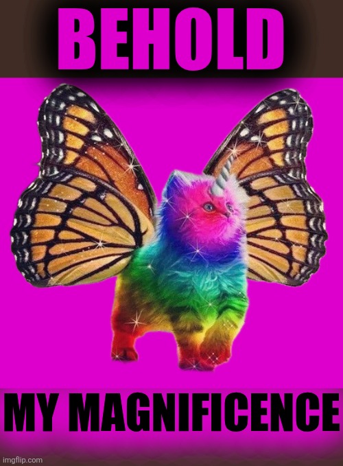 Rainbow Butterfly Unicorn Kitten | BEHOLD MY MAGNIFICENCE | image tagged in rainbow butterfly unicorn kitten | made w/ Imgflip meme maker