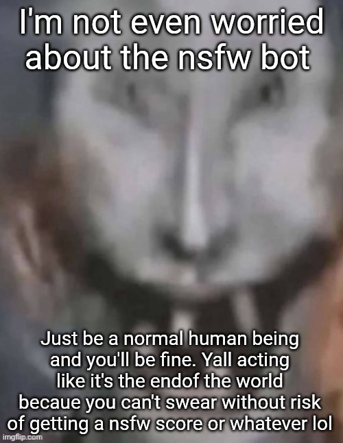 Jonkled | I'm not even worried about the nsfw bot; Just be a normal human being and you'll be fine. Yall acting like it's the endof the world becaue you can't swear without risk of getting a nsfw score or whatever lol | image tagged in jonkled | made w/ Imgflip meme maker