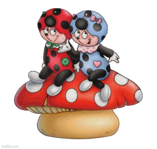 Cococinel 1992 (Cocomiel) mushroom ladybug | image tagged in cococinel | made w/ Imgflip meme maker